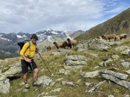 Stubai 2023